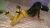 Eryaman Çıtır Escort Bayan Bade - Image 3 Eryaman Çıtır Escort Bayan Bade - Image 3