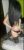 Eryaman Çıtır Escort Bayan Bade - Image 1 Eryaman Çıtır Escort Bayan Bade - Image 1