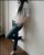 Eve Otele Gelen Üniversiteli Escort Selin - Image 5 Eve Otele Gelen Üniversiteli Escort Selin - Image 5