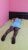 Sınırsız Kapalı Bayan Escort Hatice - Image 17 Sınırsız Kapalı Bayan Escort Hatice - Image 17