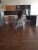 Çankaya Turangüneş Çıtır Escort Melinda - Image 8 Çankaya Turangüneş Çıtır Escort Melinda - Image 8