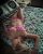 Çankaya Sınırsız Grup Escort Burcu Serap - Image 2 Çankaya Sınırsız Grup Escort Burcu Serap - Image 2