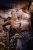 EVE OFİSE OTELE GELEN ALYA - Image 7 EVE OFİSE OTELE GELEN ALYA - Image 7