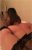 Sınırsız Çankaya Escortlar Ceyda  Hazal - Image 4 Sınırsız Çankaya Escortlar Ceyda  Hazal - Image 4