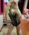 Eve Otele Gelen Vip Escort Bayan Deniz - Image 1 Eve Otele Gelen Vip Escort Bayan Deniz - Image 1