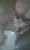 Olgun Taş Bebek Bayan Escort Ela - Image 2 Olgun Taş Bebek Bayan Escort Ela - Image 2