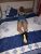 Eve Otele Gelen Doyumsuz Vip Bayan İrem - Image 18 Eve Otele Gelen Doyumsuz Vip Bayan İrem - Image 18