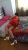Maltepe Azeri Bayan Escort Tamara - Image 1 Maltepe Azeri Bayan Escort Tamara - Image 1