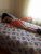 Çankaya Kendi Yeri Olan Bayan Escort Hayal - Image 1 Çankaya Kendi Yeri Olan Bayan Escort Hayal - Image 1