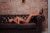 Zevk Perisi Etlik Escort Hazal - Image 1 Zevk Perisi Etlik Escort Hazal - Image 1